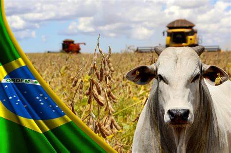 Agro Brasileiro Mostra Sua Força No País E No Exterior – PR Portais